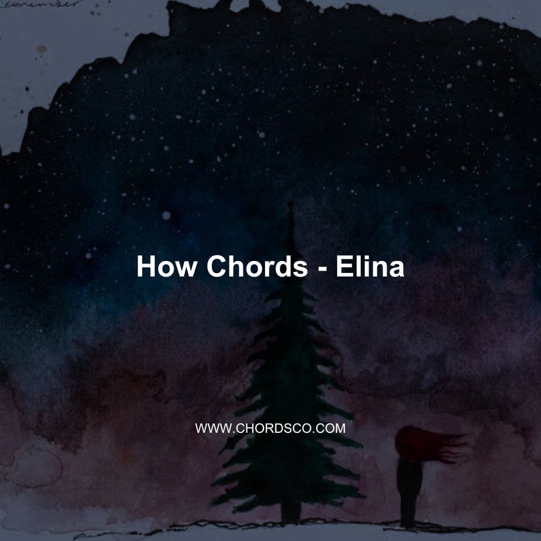 How Guitar Chords by Elina