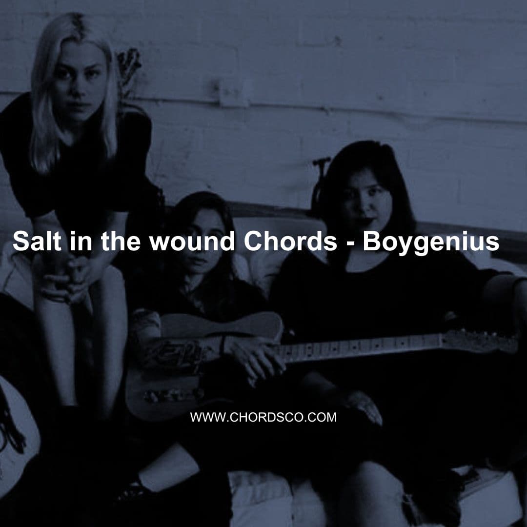 Salt In The Wound Guitar Chords by Boygenius