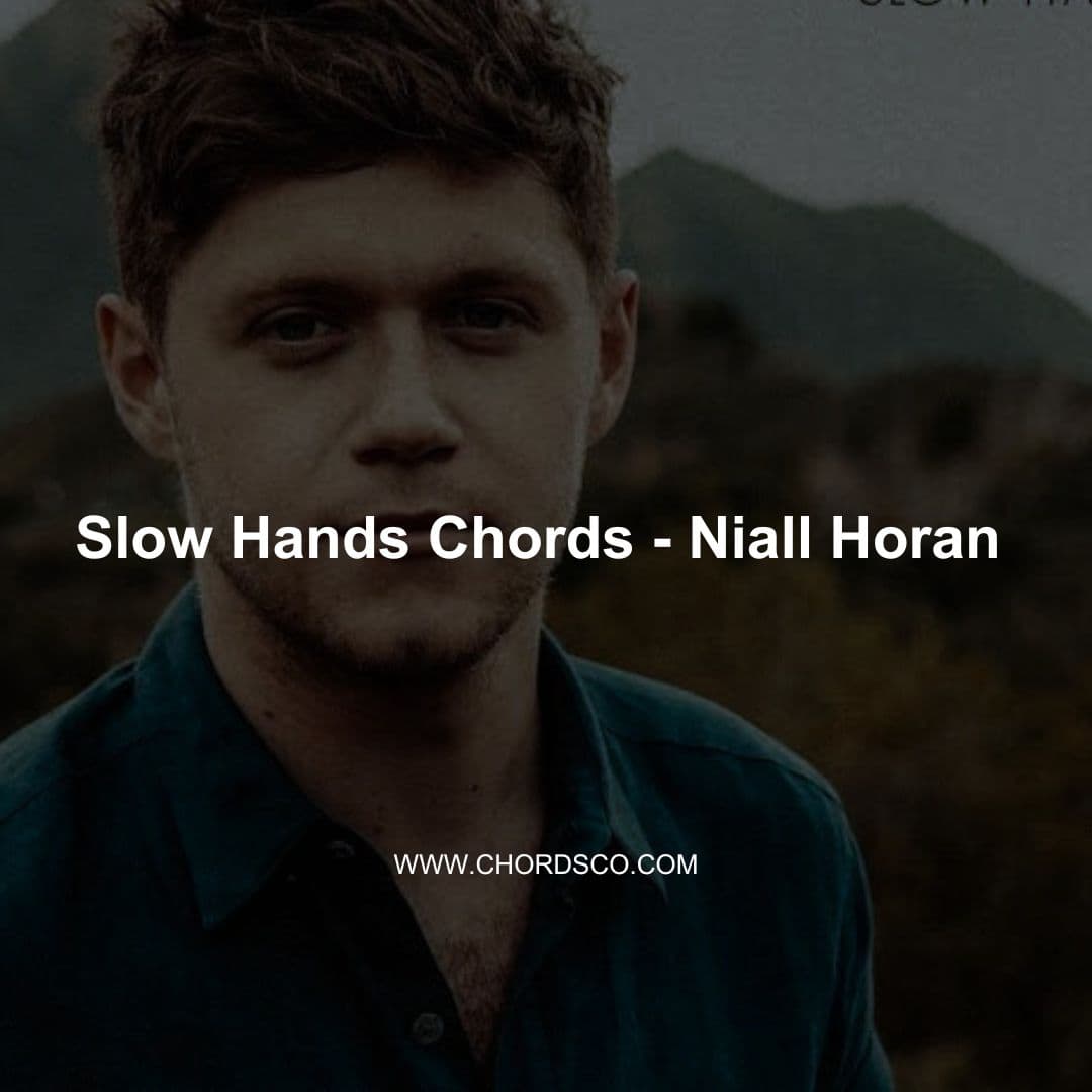 Slow Hands Guitar Chords by Niall Horan