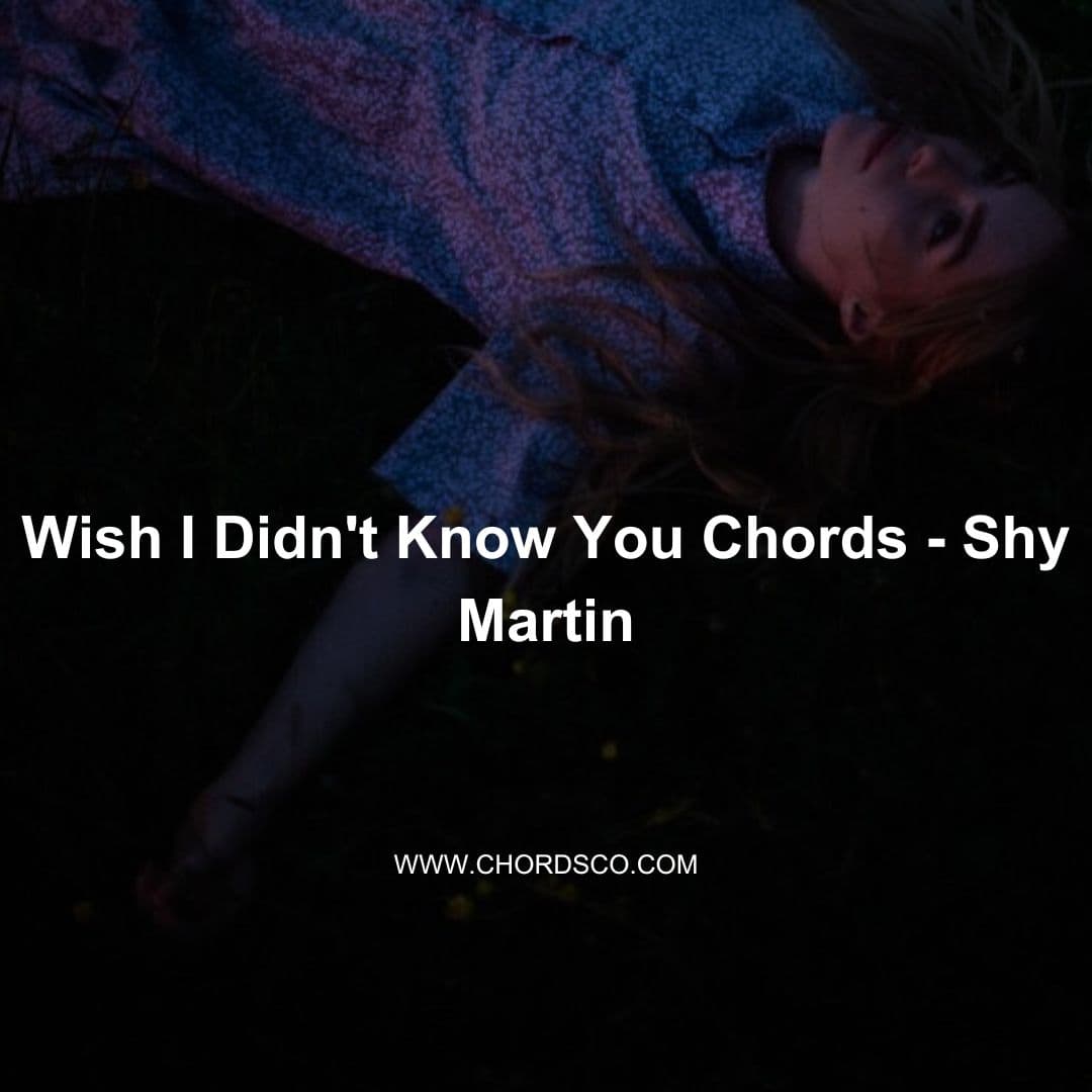 Wish I don't know you by shy Martin Guitar Chords