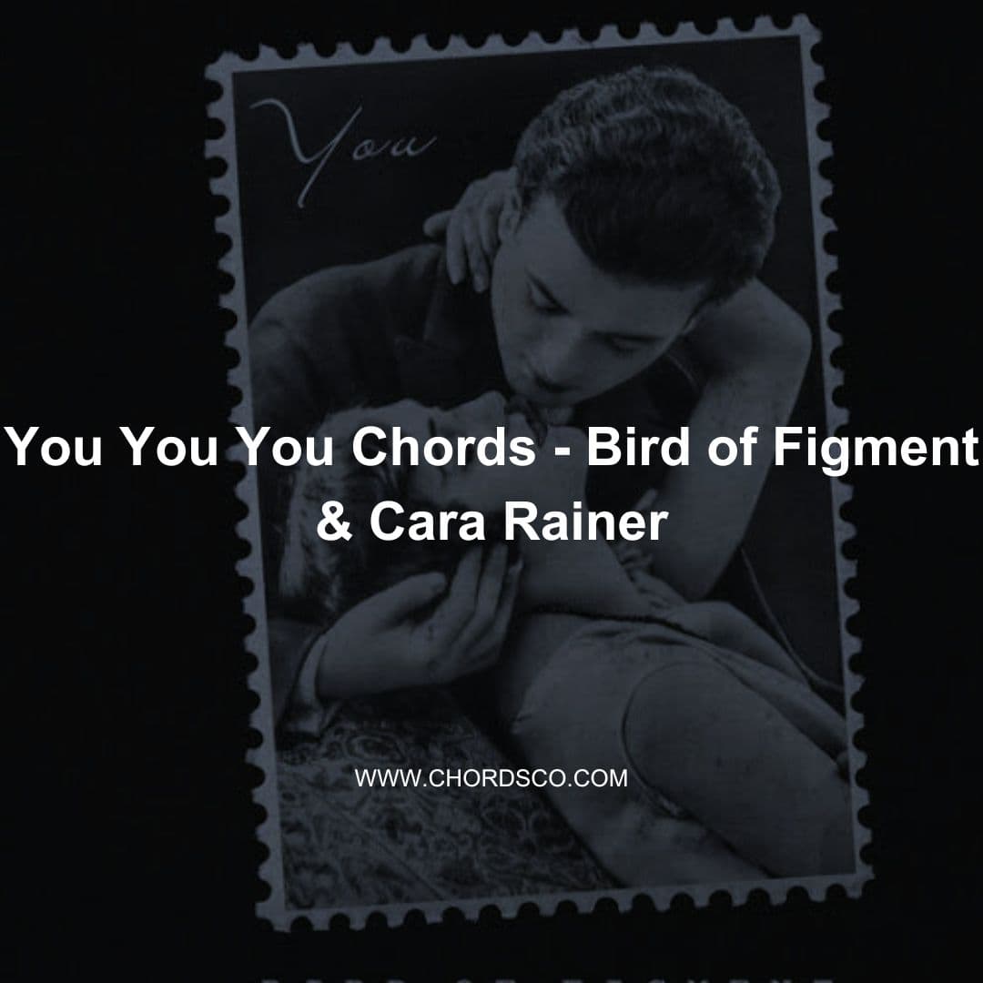 You You You Guitar Chords - Bird Of Figment feat. Cara Rainer